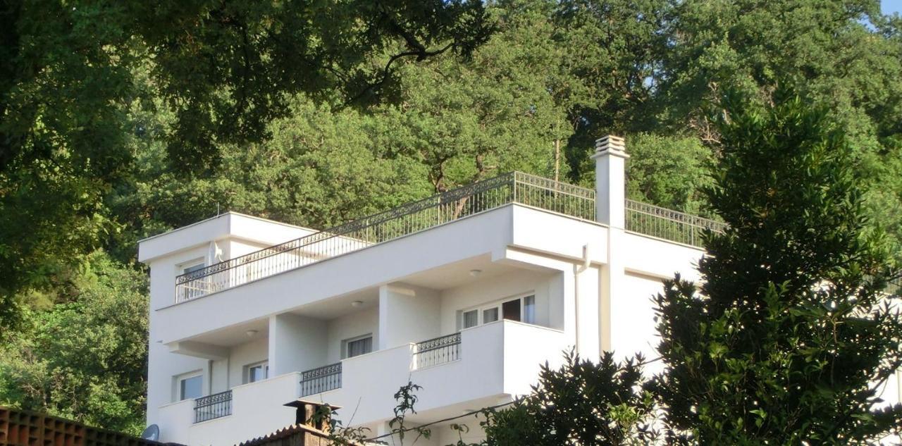 Villa Slovenika Budva Exteriör bild